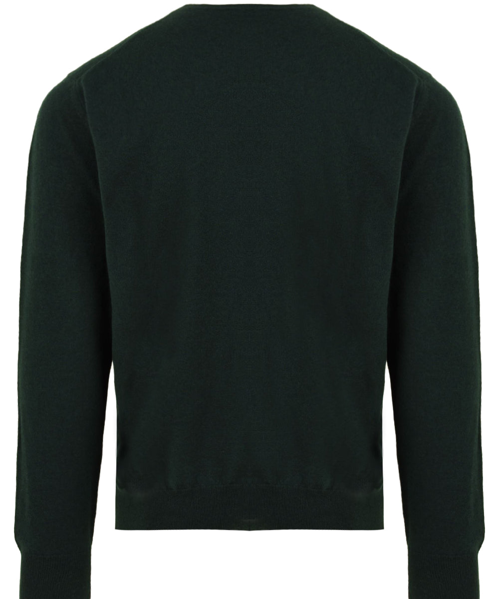 Maglione girocollo in Cashmere FILIPPO DE LAURENTIIS Uomo - Verde
