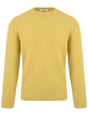Maglione Girocollo FILIPPO DE LAURENTIIS Uomo - Giallo