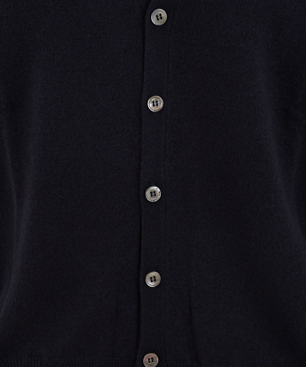 Maglione Gilet in Lana Cashmere FILIPPO DE LAURENTIIS Uomo - Blue