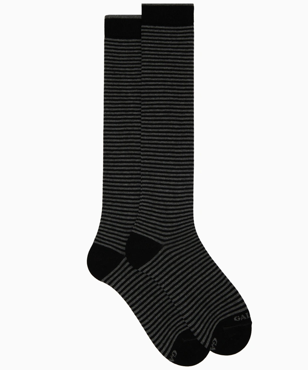 Calze lunghe riga Windsor GALLO Uomo - Multicolore