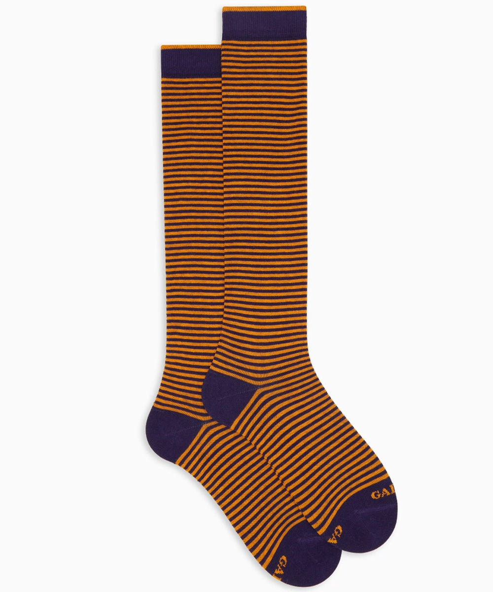 Calze lunghe riga Windsor GALLO Uomo - Multicolore