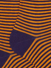 Calze lunghe riga Windsor GALLO Uomo - Multicolore