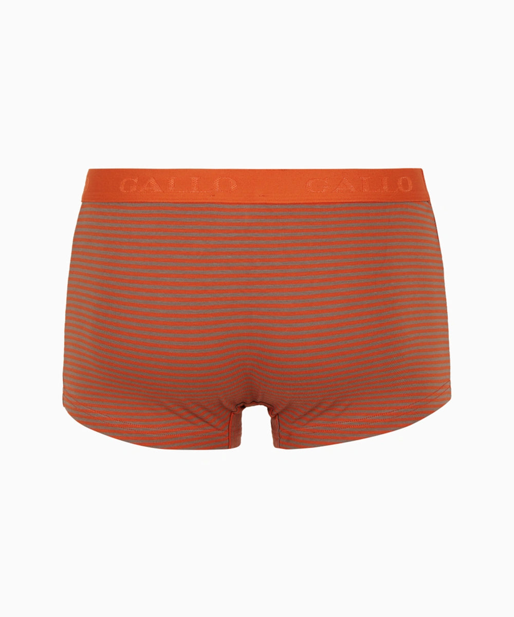 Boxer a righe Windsor GALLO Uomo - Multicolore