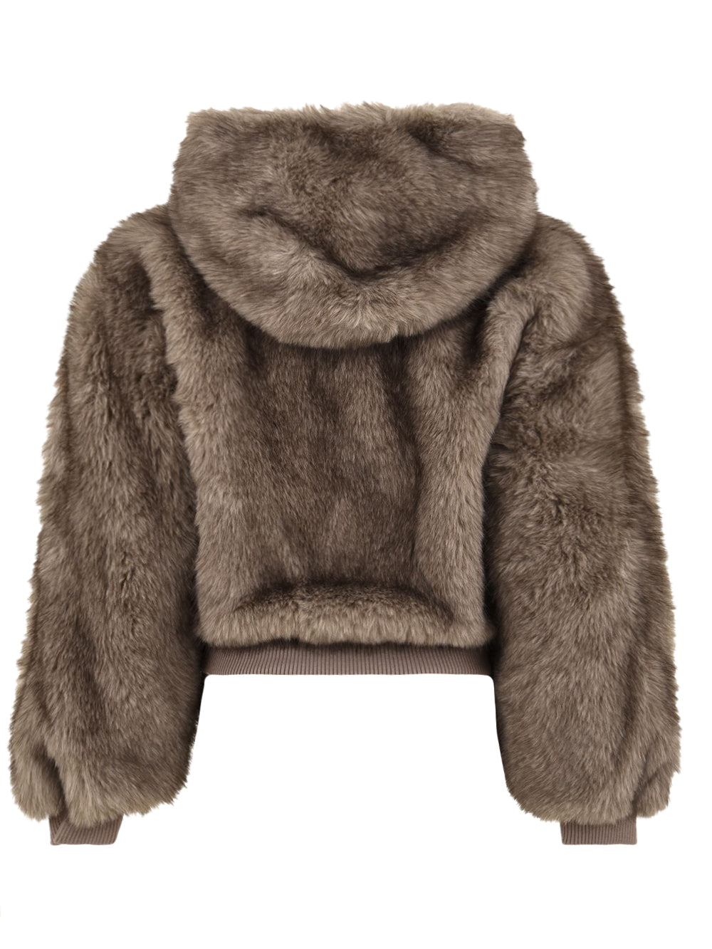 Pelliccia ecologica LOU ANDREA Donna - Grigio