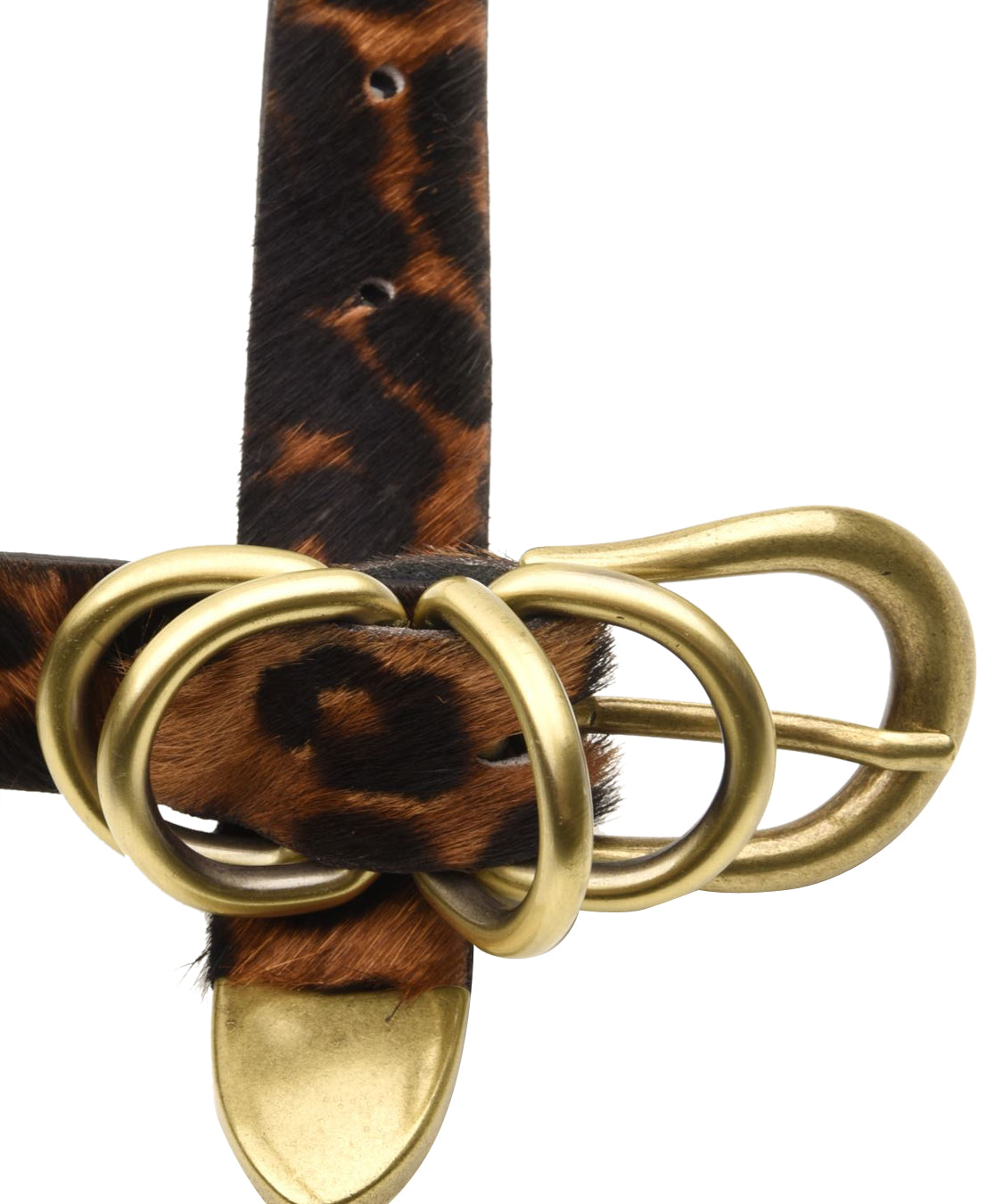 Cintura cavallino ALBERTO LUTI Donna - Marrone