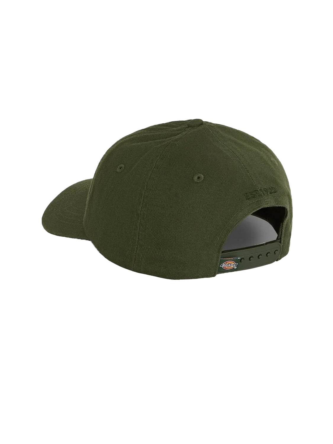Cappello Hardwick DICKIES Unisex - Verde