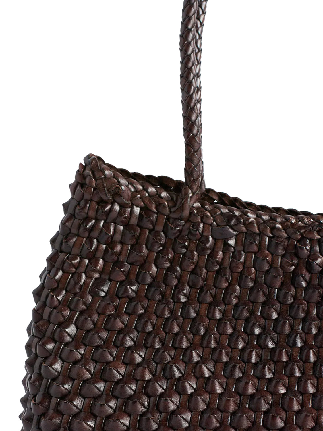 Borsa Santa Croce Cactus DRAGON DIFFUSION Donna - Marrone
