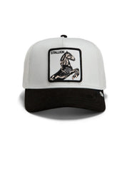 Cappello Suede Stallion GOORIN BROS. Unisex - Bianco
