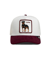 Cappello Suede Alpha GOORIN BROS. Unisex - Marrone