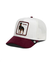 Cappello Suede Alpha GOORIN BROS. Unisex - Marrone