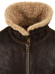 Giubbotto Sylvester Aviator STEWART Uomo - Marrone