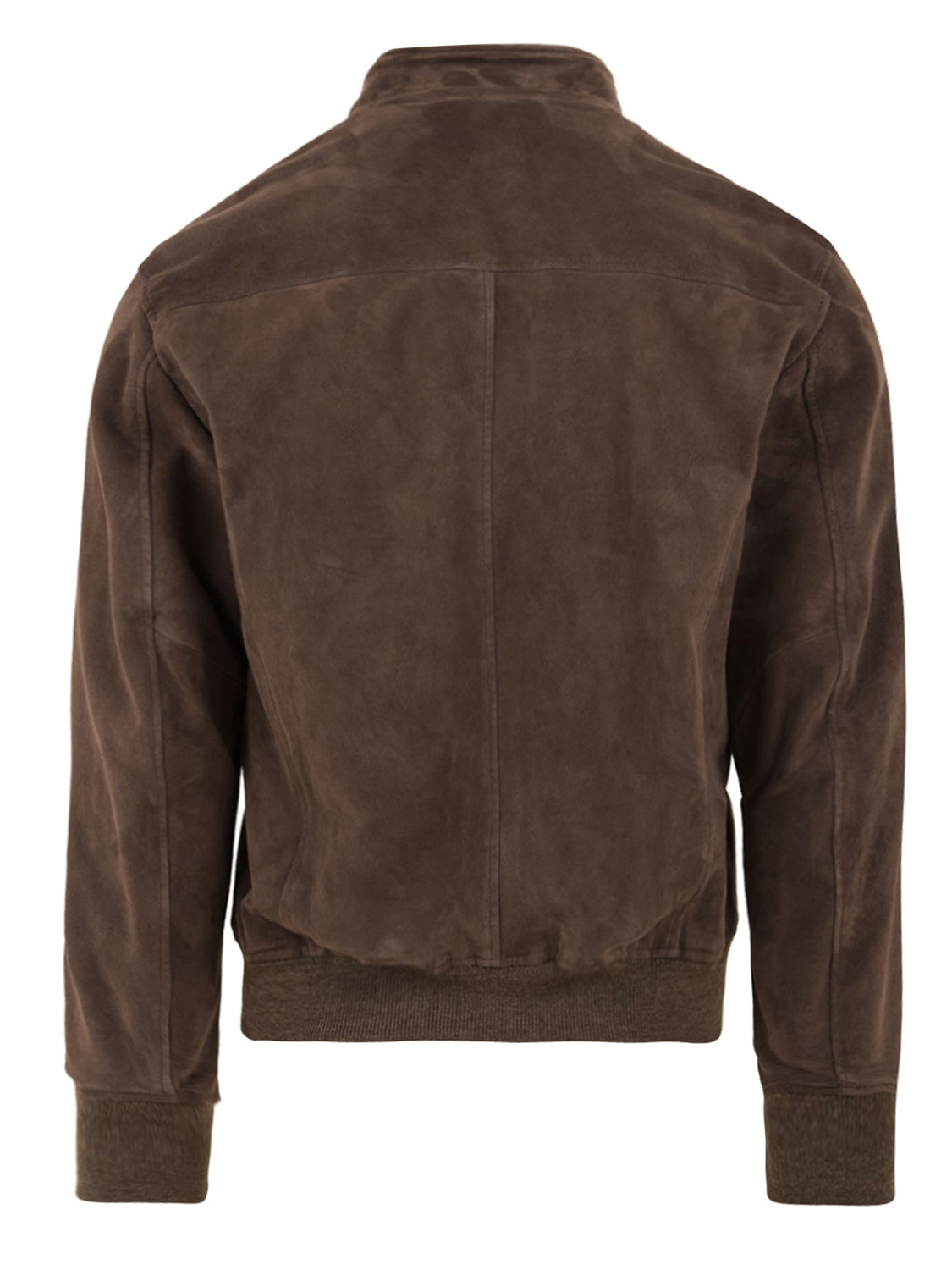 Giubbotto Drowne camoscio stretch STEWART Uomo - Marrone