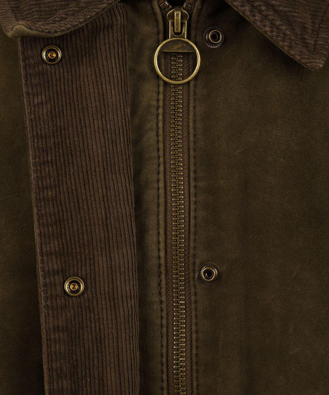 Giubbotto Glamis Burs burned suede 2 THE JACKIE LEATHERS Donna - Verde