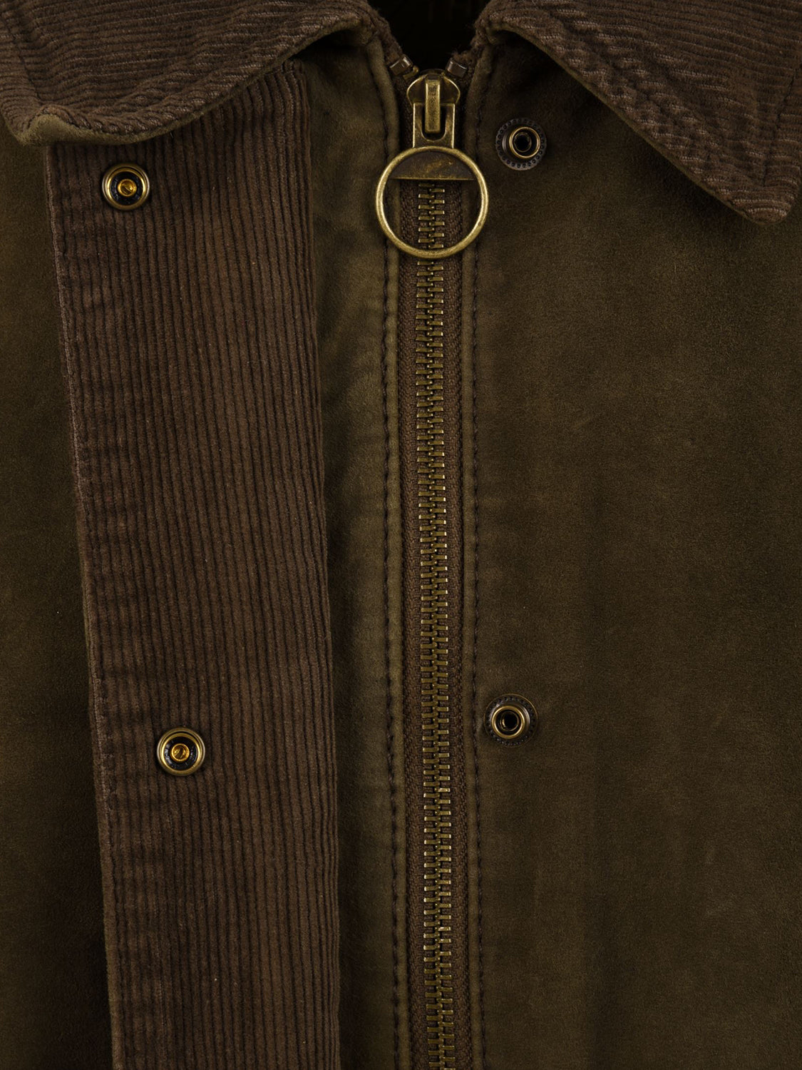 Giubbotto Glamis Burs burned suede 2 THE JACKIE LEATHERS Donna - Verde