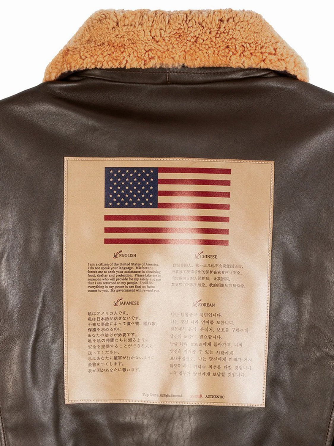 Giubbotto leather jacket TOP GUN Uomo - Marrone