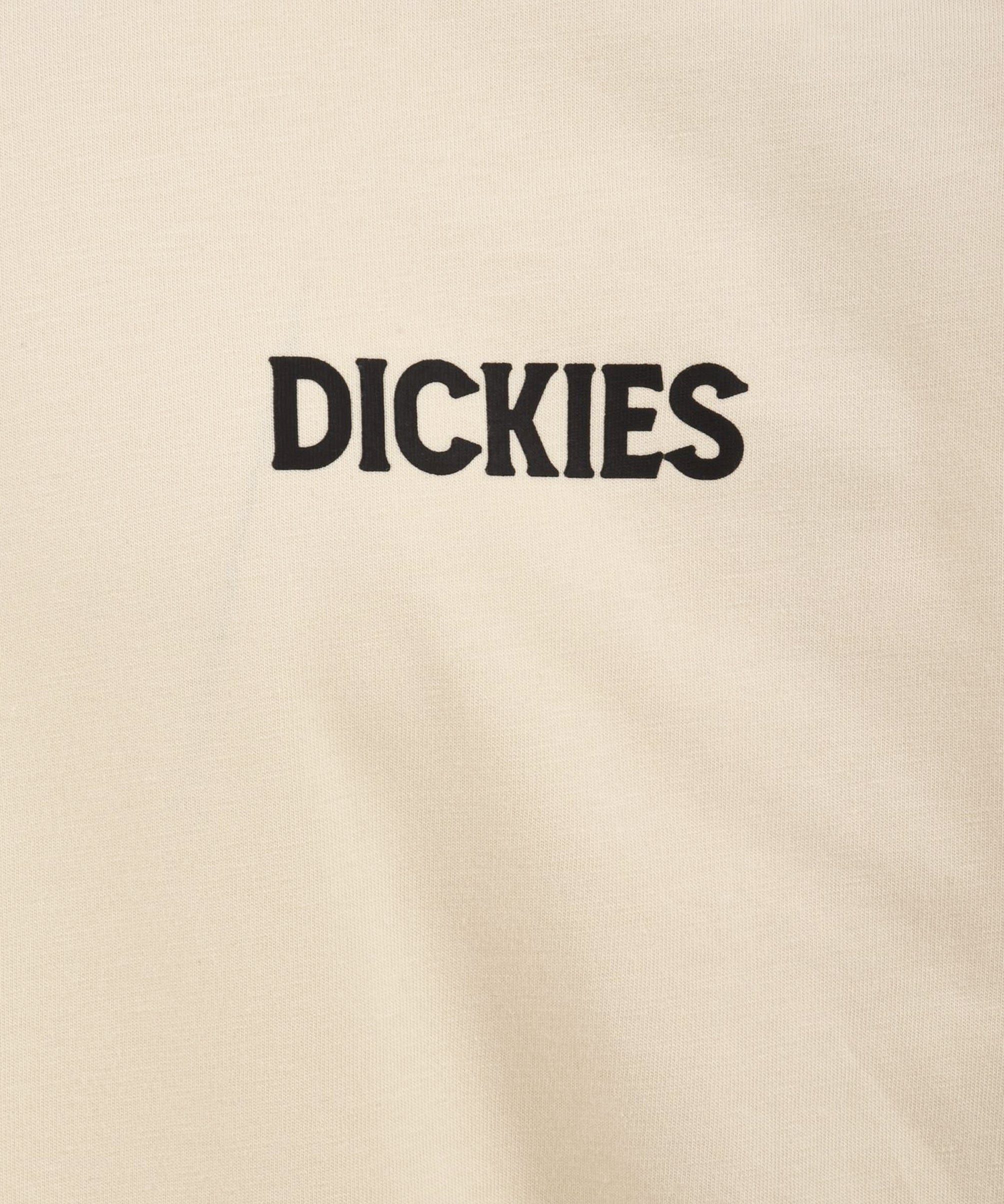 T-shirt DICKIES Uomo DK0A4YRD