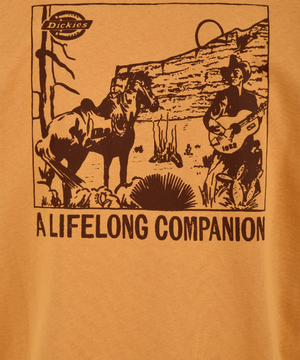 T-shirt Companion DICKIES Uomo - Giallo