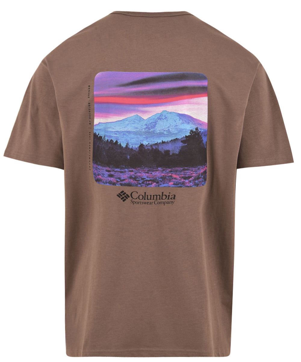 T-shirt stampata sul retro CSC Heavyweight COLUMBIA Uomo - Marrone