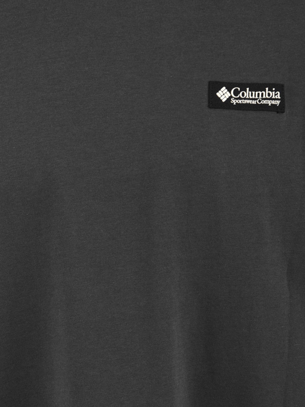 T-shirt iconica CSC Heavyweight COLUMBIA Uomo - Grigio