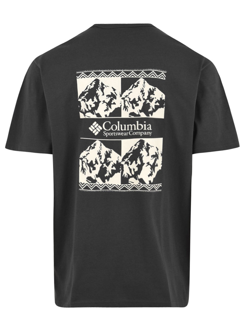 T-shirt iconica CSC Heavyweight COLUMBIA Uomo - Grigio