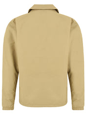 Giubbotto Oakport coach DICKIES Uomo - Verde