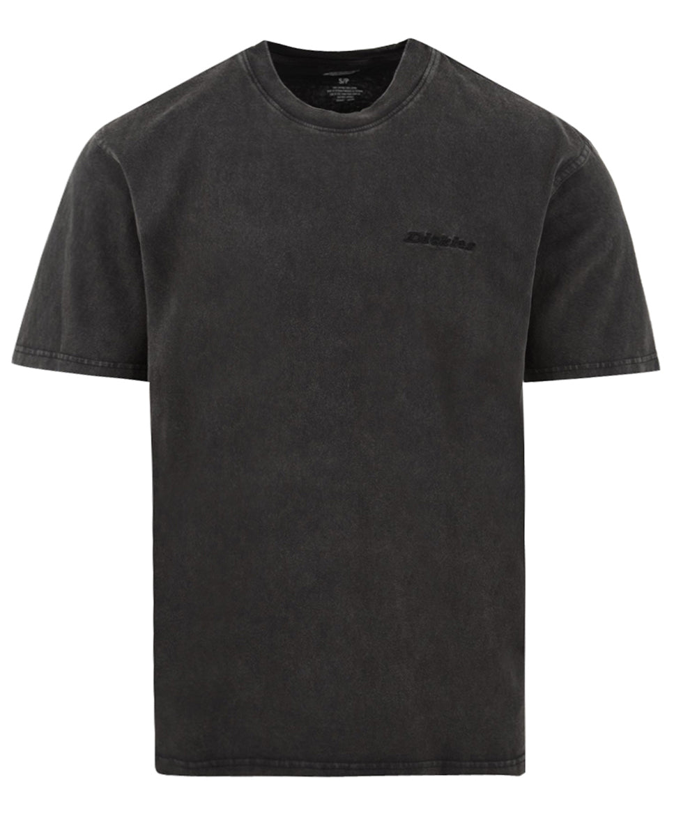 T-shirt Plentywood DICKIES Uomo - Grigio