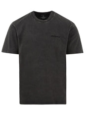 T-shirt Plentywood DICKIES Uomo - Grigio
