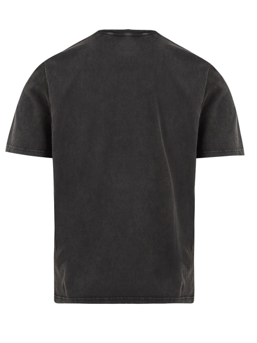 T-shirt Plentywood DICKIES Uomo - Grigio