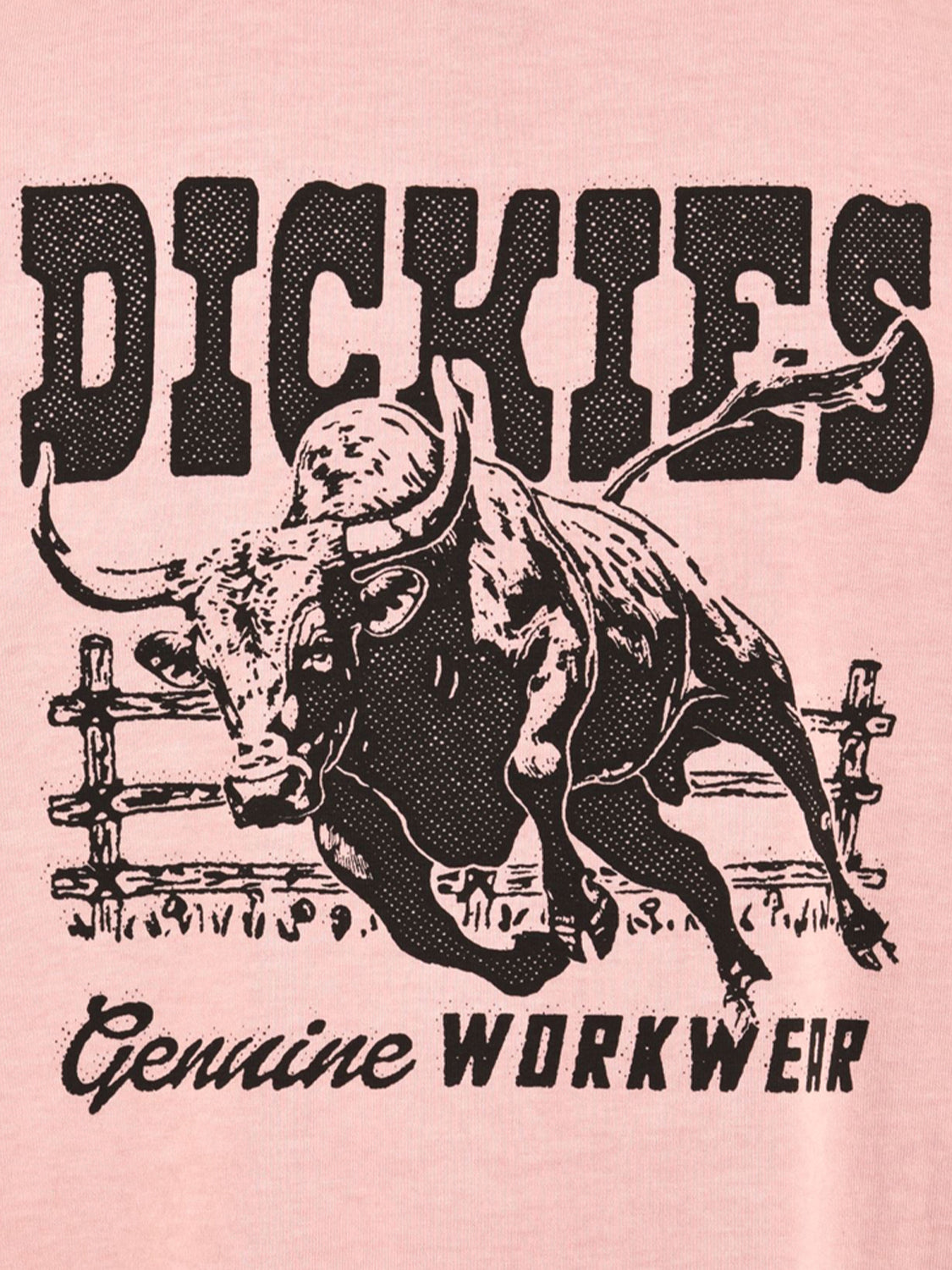 T-shirt Buchtell ss DICKIES Uomo - Rosa