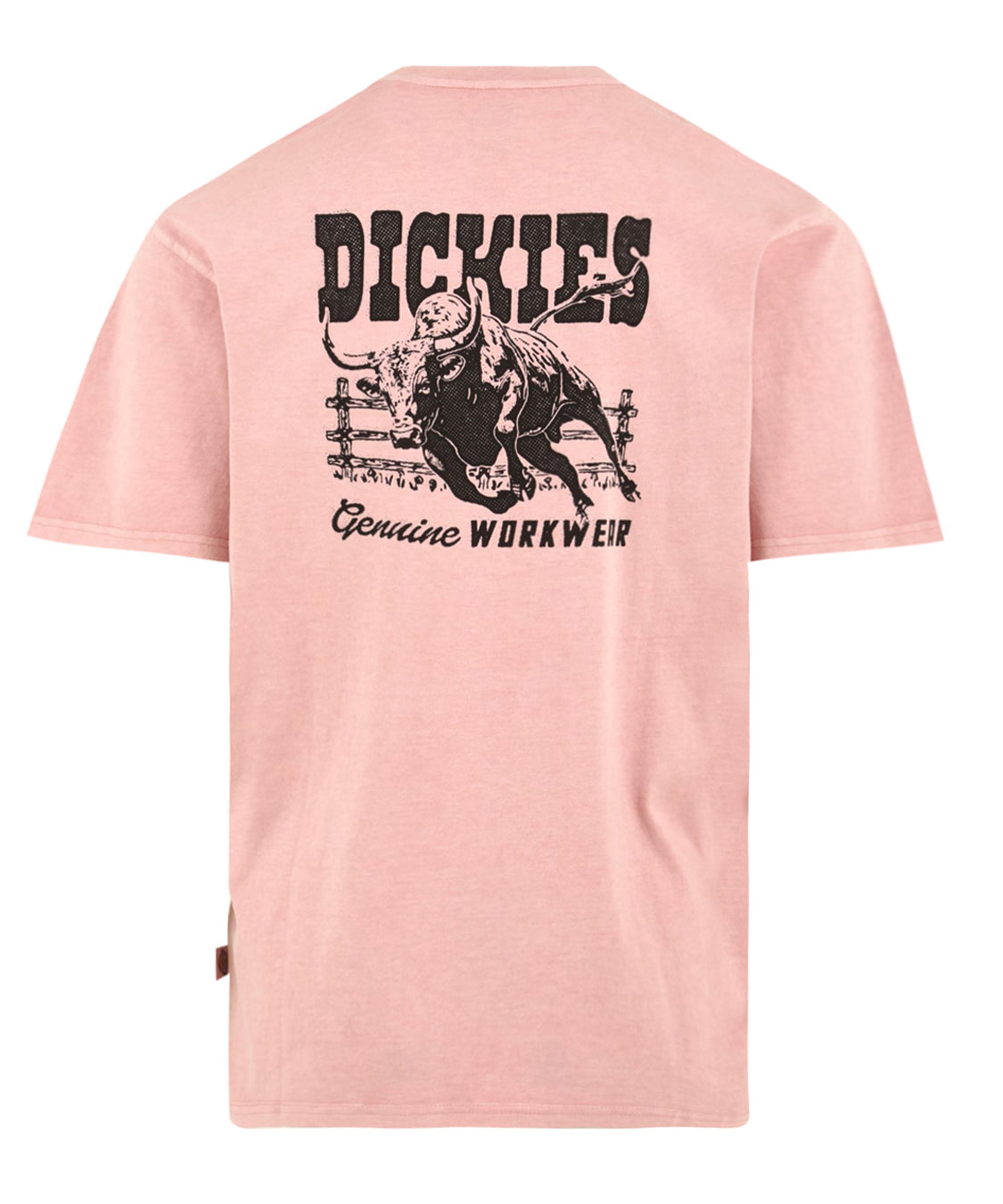 T-shirt Buchtell ss DICKIES Uomo - Rosa