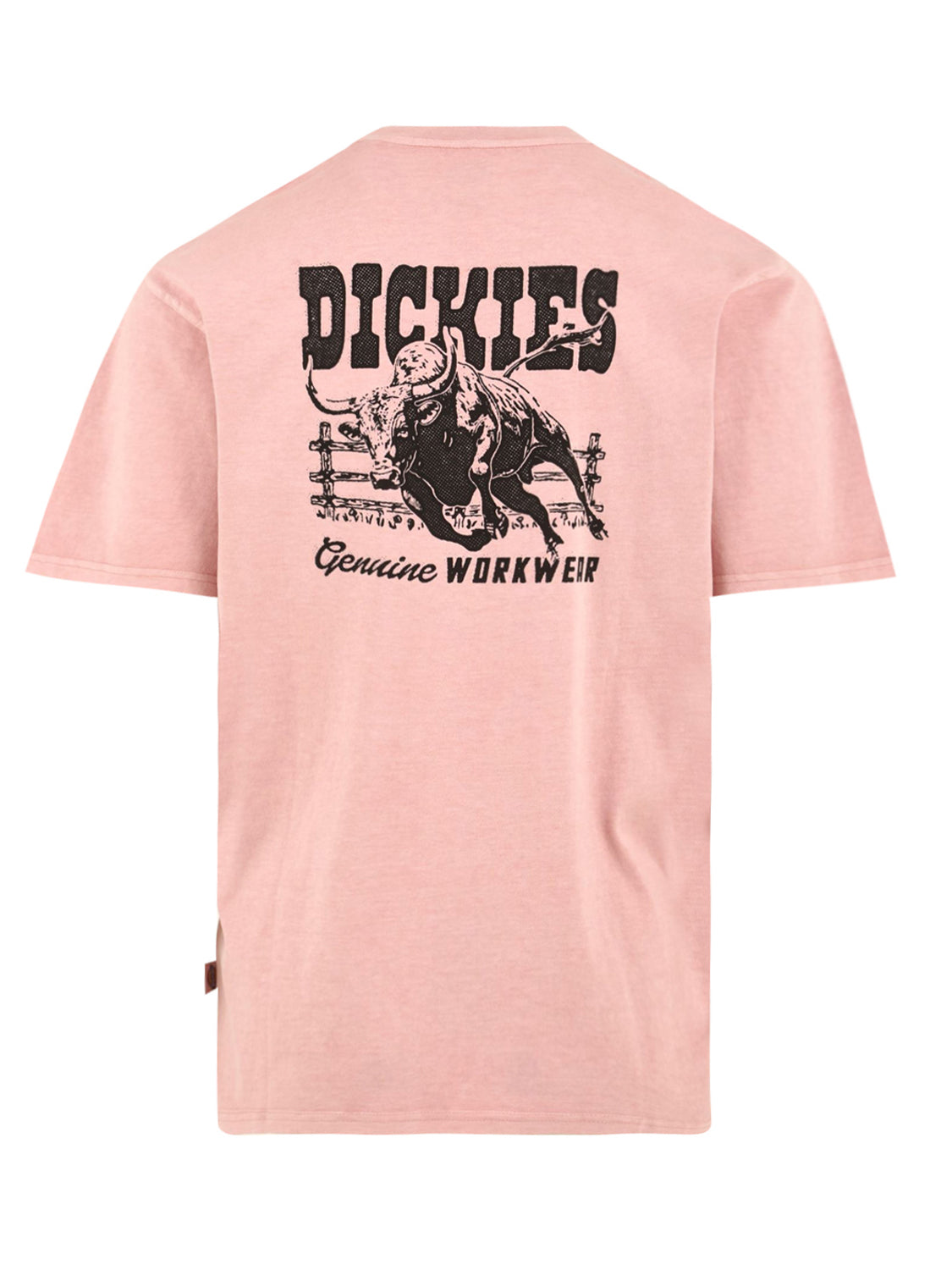 T-shirt Buchtell ss DICKIES Uomo - Rosa