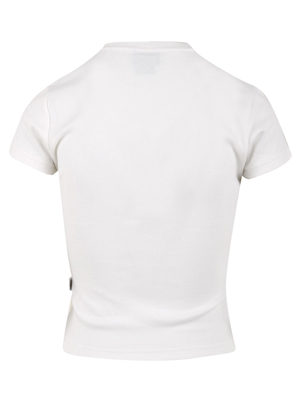 T-shirt Wellsville DICKIES Donna - Bianco