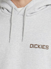 Felpa Payson hoodie DICKIES Uomo - Grigio
