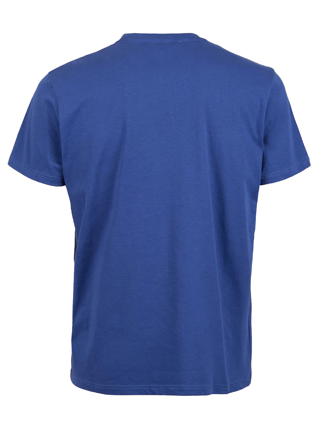 T-shirt GALLO Uomo - Royal/Amaranto