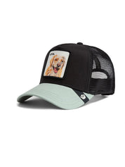 Cappello The Loyal Dog GOORIN BROS. Unisex - Nero