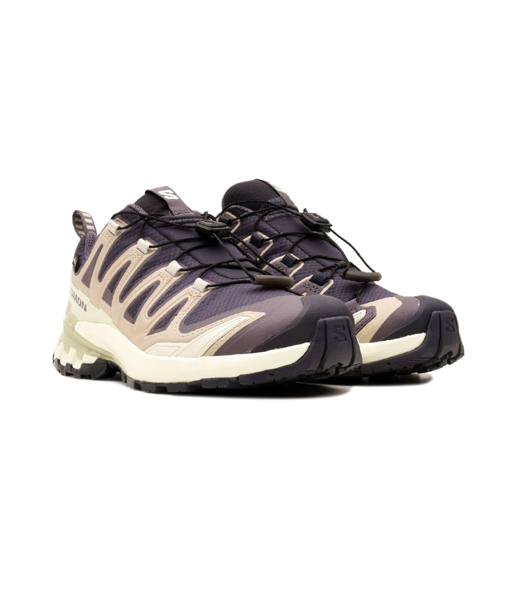 Scarpa Running trail XA Pro 3D V9 Gore-Tex SALOMON Donna - Grigio