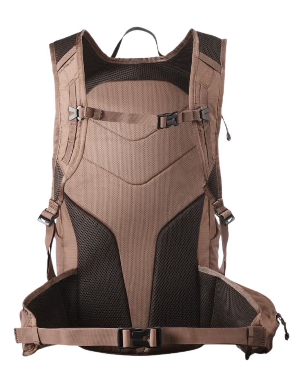 Zaino sportivo Trailblazer 20 lt SALOMON Unisex - Marrone