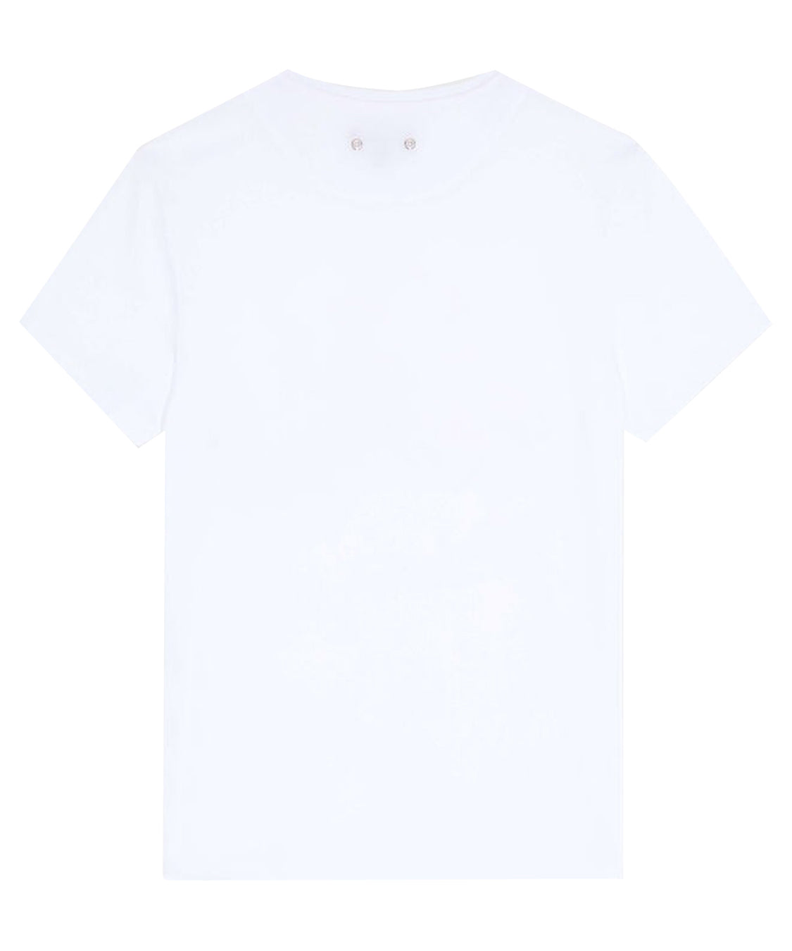 T-shirt Thom VILEBREQUIN Uomo - Bianco