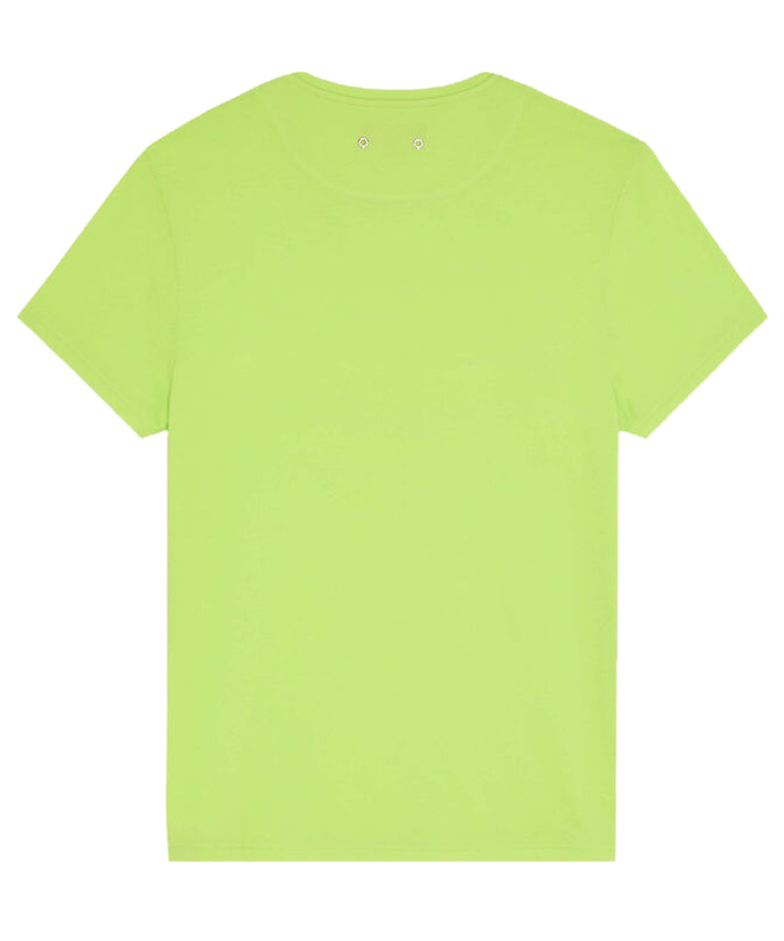 T-shirt Thom VILEBREQUIN Uomo - Verde