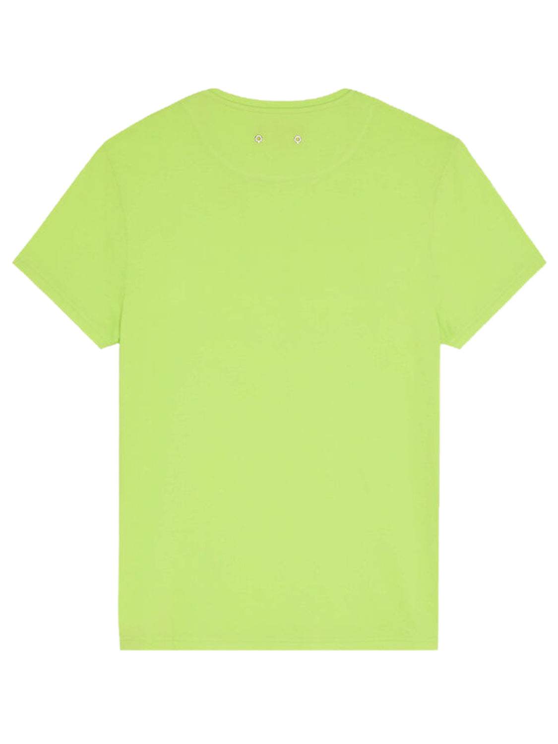 T-shirt Thom VILEBREQUIN Uomo - Verde