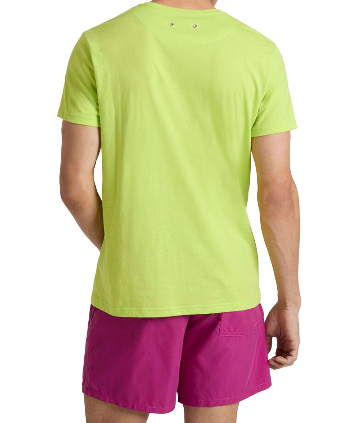 T-shirt Thom VILEBREQUIN Uomo - Verde