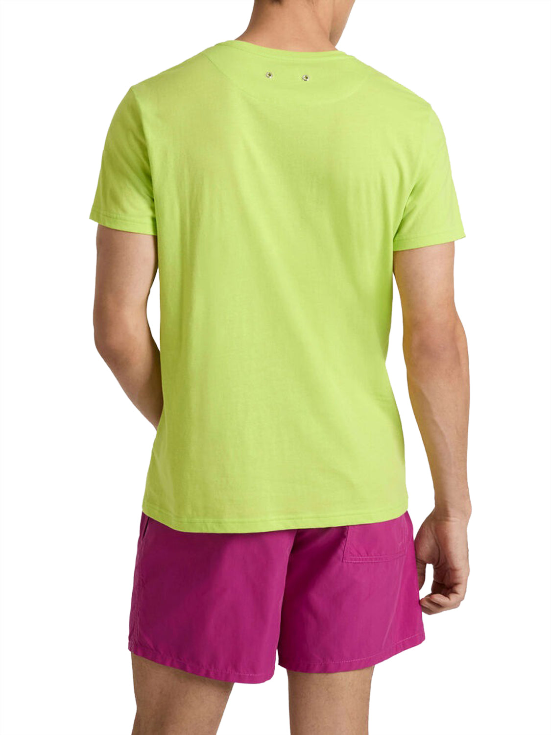 T-shirt Thom VILEBREQUIN Uomo - Verde